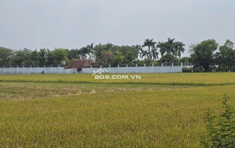 Bán lô đất vườn mặt tiền kênh An Nhơn Tây, Củ Chi, 1tr/m2