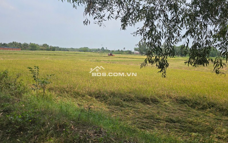 Bán lô đất vườn mặt tiền kênh An Nhơn Tây, Củ Chi, 1tr/m2