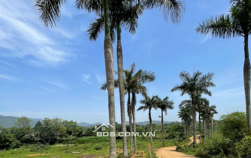 Bán lô góc 1617m2 thế đất cao view thoáng tại Yên Bài - Ba Vì - HN Giá 5tr/m2