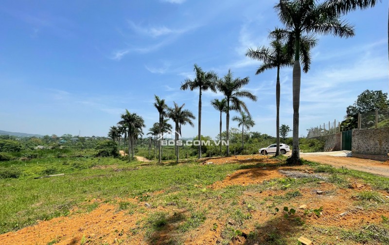 Bán lô góc 1617m2 thế đất cao view thoáng tại Yên Bài - Ba Vì - HN Giá 5tr/m2