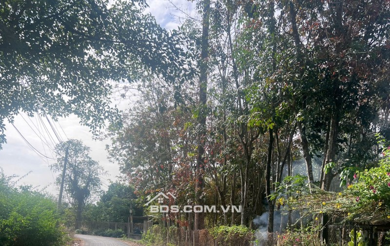 Bán lô đất ngay đường Nguyễn Văn Khạ, Phú Hòa Đông, Củ Chi , 1653m2, 300m2 thổ cư. 6,5 tỷ thương lượng