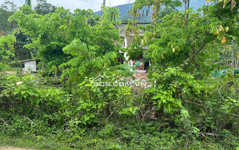 Chính chủ bán 440m2 trong đó 400m2 đất ở và 40m2 đất vườn tại Mai Hạ, Mai Châu, Hoà Bình