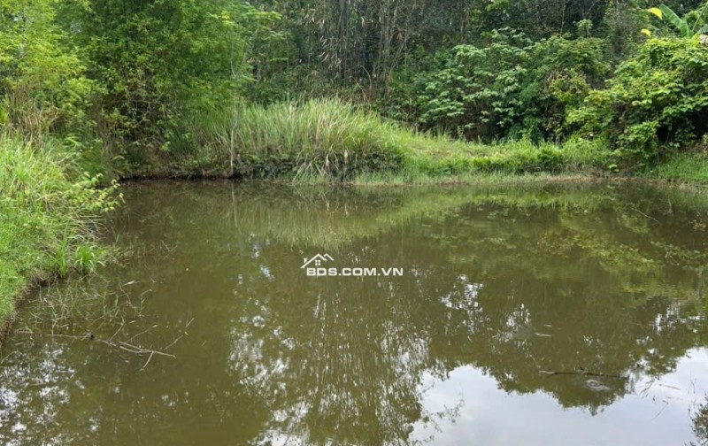 Gia đình cần bán hơn 1000m2 đất vườn và 400m2 đất thổ cư tại Mai Hạ, Mai Châu, Hoà Bình