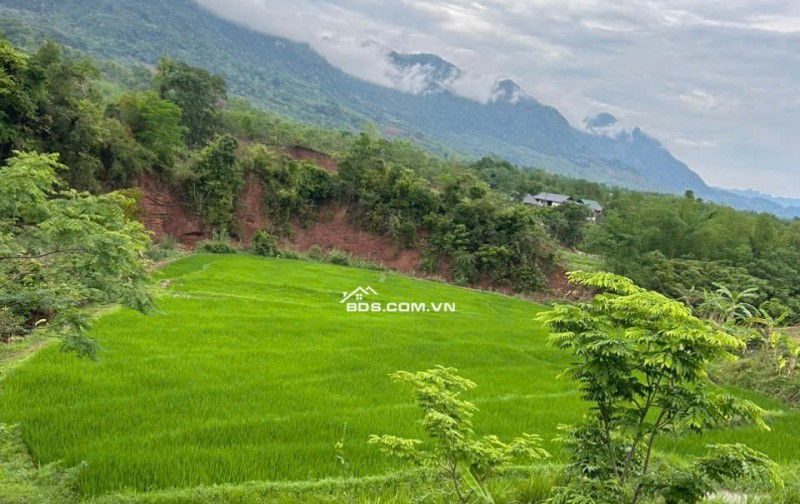 Chính chủ bán 720m2 đất làm homestay ở Pà Cò, Hang Kia giá 950tr