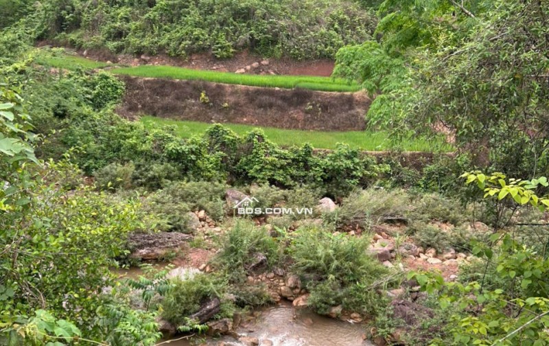 Cần bán gấp 3000m đất trong đó 400m thổ cư,còn lại là đất vườn trồng cây tại Mai Châu,HOà Bình