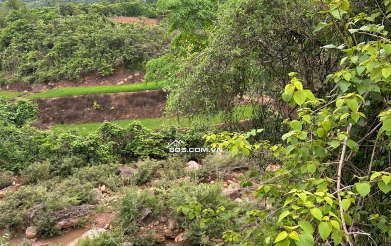 Chính chủ bán 10,0000m2 đất tại Cun Pheo, Mai Châu, Hoà Bình