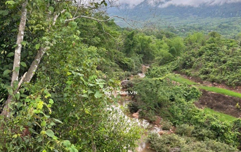 Cần bán gấp 3000m đất trong đó 400m thổ cư,còn lại là đất vườn trồng cây tại Mai Châu,HOà Bình