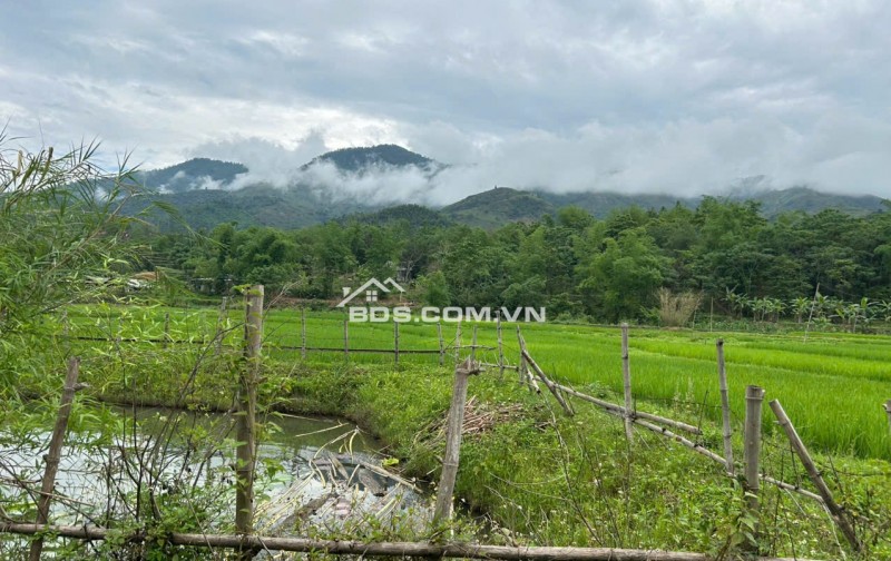 Chính chủ bán 10,0000m2 đất tại Cun Pheo, Mai Châu, Hoà Bình