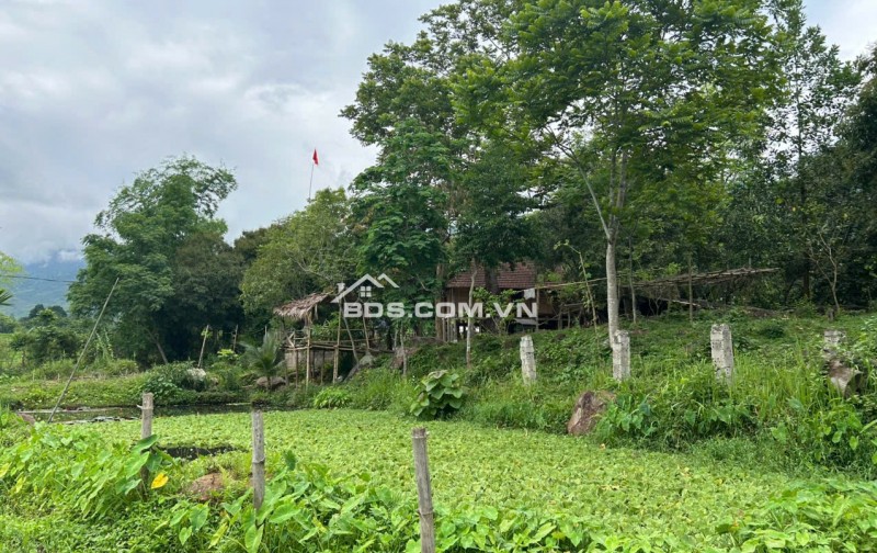 Chính chủ bán 10,0000m2 đất tại Cun Pheo, Mai Châu, Hoà Bình