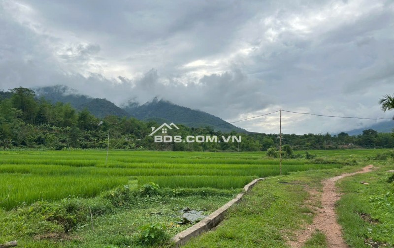 Cần bán gấp 3000m đất trong đó 400m thổ cư,còn lại là đất vườn trồng cây tại Mai Châu,HOà Bình