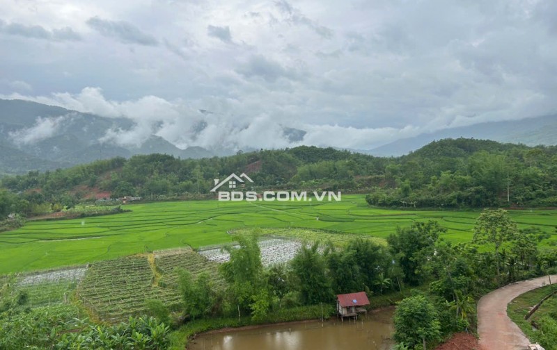 Chính chủ bán 10,0000m2 đất tại Cun Pheo, Mai Châu, Hoà Bình