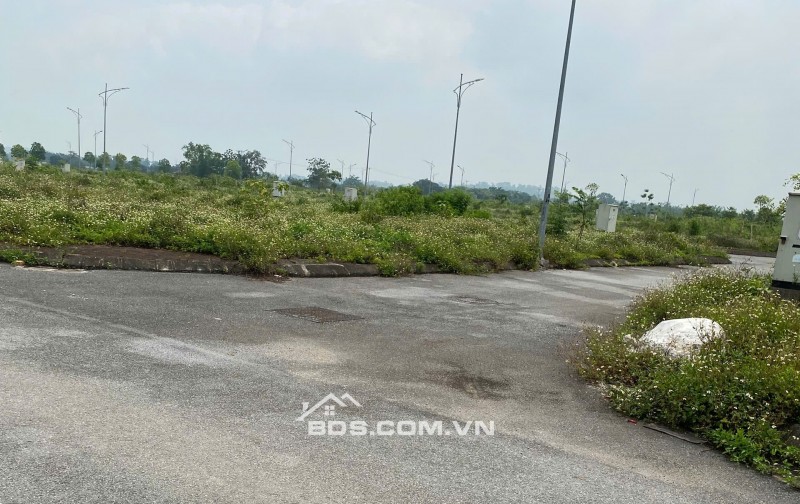40tr/m 2 lô đất Dịch Vụ Đồng Trà, kcn Phú Nghĩa, Chương Mỹ, HN