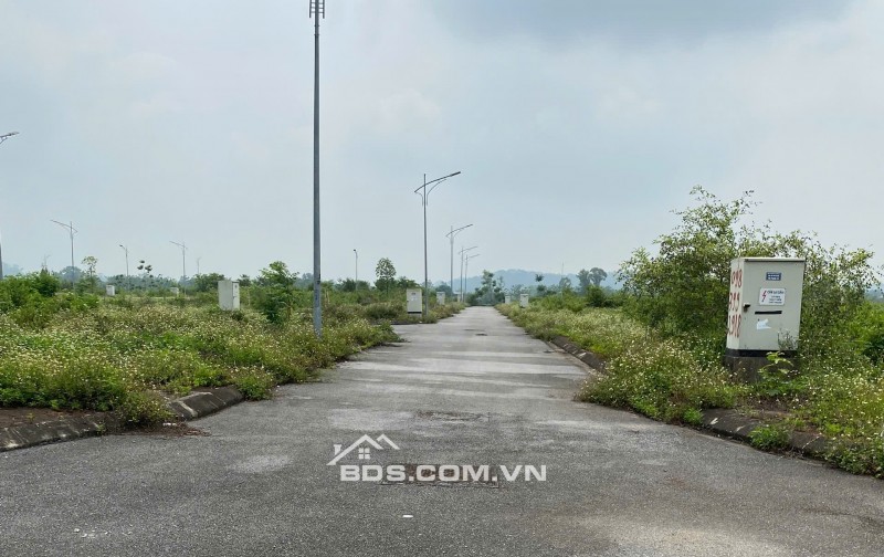 40tr/m 2 lô đất Dịch Vụ Đồng Trà, kcn Phú Nghĩa, Chương Mỹ, HN