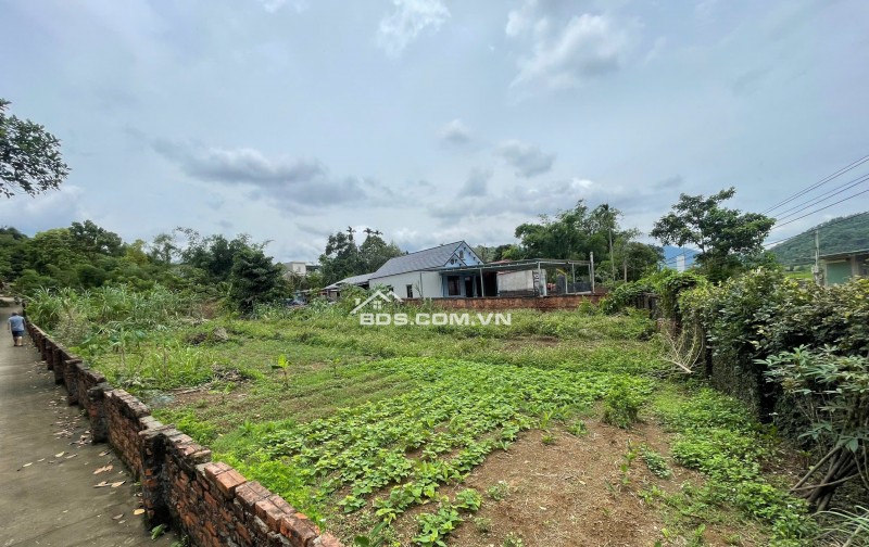 BÁN LÔ GÓC SIÊU ĐẸP 1534m2- MẶT ĐƯỜNG CHÍNH 446, ĐÔNG XUÂN, QUỐC OAI, HÀ NỘI, GIÁ 10,5tr/1m2
