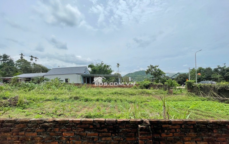 BÁN LÔ GÓC SIÊU ĐẸP 1534m2- MẶT ĐƯỜNG CHÍNH 446, ĐÔNG XUÂN, QUỐC OAI, HÀ NỘI, GIÁ 10,5tr/1m2