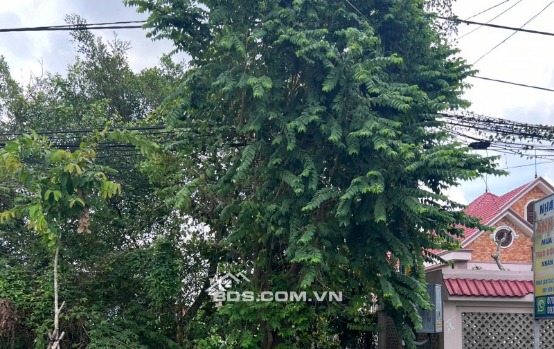 Bán Lô đất mặt tiền Nguyễn Thị Lắng, 3,6 tỷ, full thổ cư