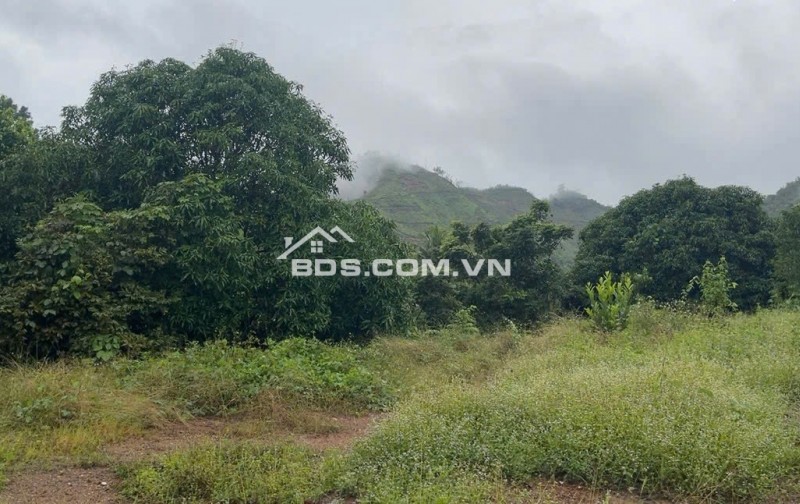 BÁN LÔ ĐẤT THÔN TÂY NAM, XÃ SÔNG CẦU, HUYỆN KHÁNH VĨNH, KHÁNH HOÀ.
