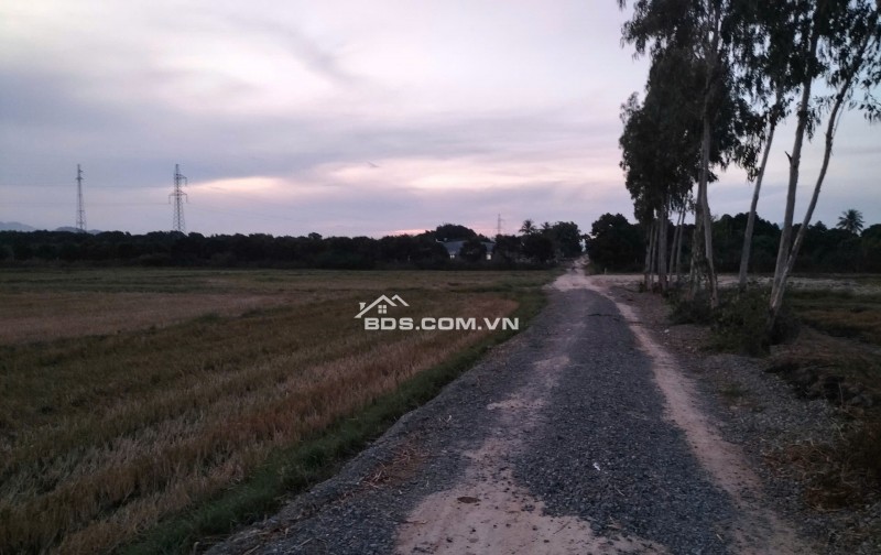 Bán 4 xào đất Tân sinh cam thành bắc cam lâm khánh hòa