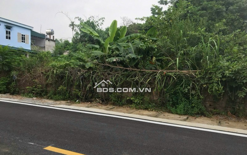 Chính chủ cần bán ô đất 315mv, mặt tiền 7m tại Khu 5, Hy Cương, Việt Trì. Ô đất thoáng đẹp, đường giao thông trải nhựa rộng 14m, trước mặt là hồ nước mát mẻ.
