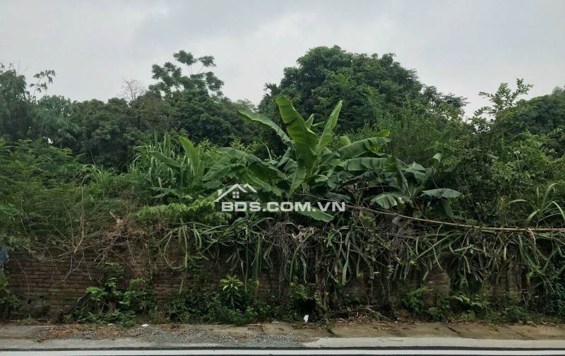 Chính chủ cần bán ô đất 315mv, mặt tiền 7m tại Khu 5, Hy Cương, Việt Trì. Ô đất thoáng đẹp, đường giao thông trải nhựa rộng 14m, trước mặt là hồ nước mát mẻ.