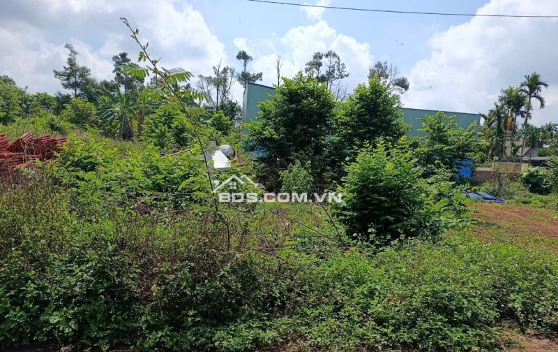 Cần bán lô đất thổ cư mặt tiền đường nhựa xã Hòa Thắng, TP. Buôn Ma Thuột