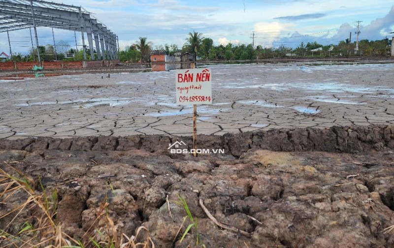 Bán Đất Mặt Tiền Quốc lộ 1- thị trấn Cái Nước, Cà Mau