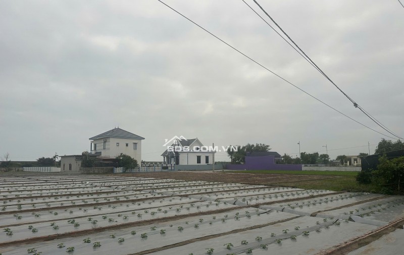 CHÍNH CHỦ CẦN BÁN CẮT LỖ LÔ SIÊU ĐẸP-GIÁ NHỈNH TỶ CHO CÁC NHÀ ĐẦU TƯ