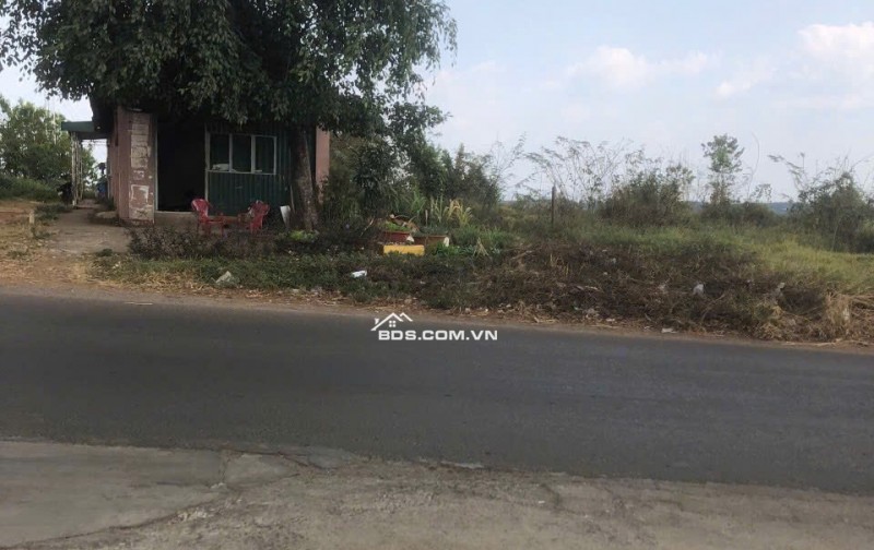 Cần bán lô đất lớn thôn 11, xã Nhân Cơ, huyện Đắk R'Lấp, tỉnh ĐắkNông