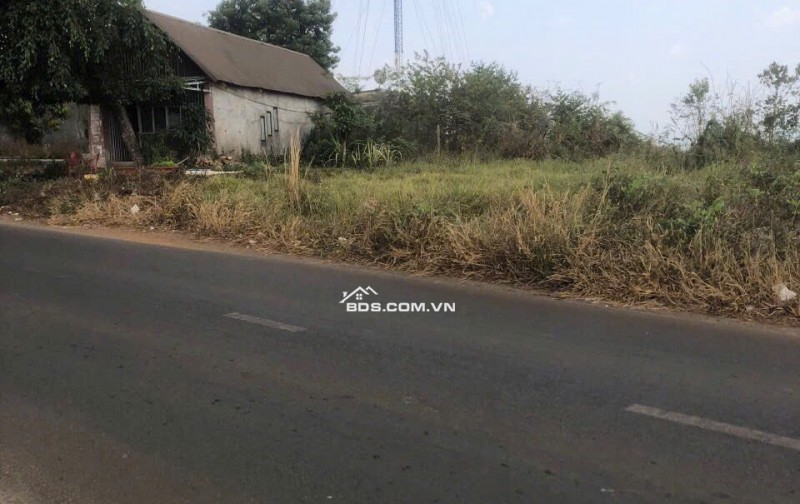 Cần bán lô đất lớn thôn 11, xã Nhân Cơ, huyện Đắk R'Lấp, tỉnh ĐắkNông