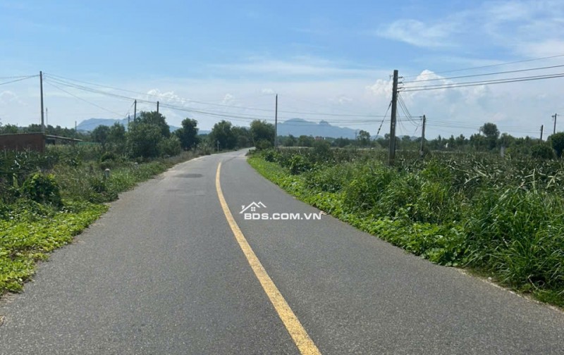 Đất ngợp đường chạy thắng ra biển đường Lê Quang Định xã Tân Bình Thị xã Lagi