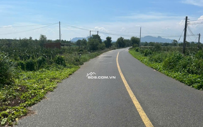 Đất ngợp đường chạy thắng ra biển đường Lê Quang Định xã Tân Bình Thị xã Lagi