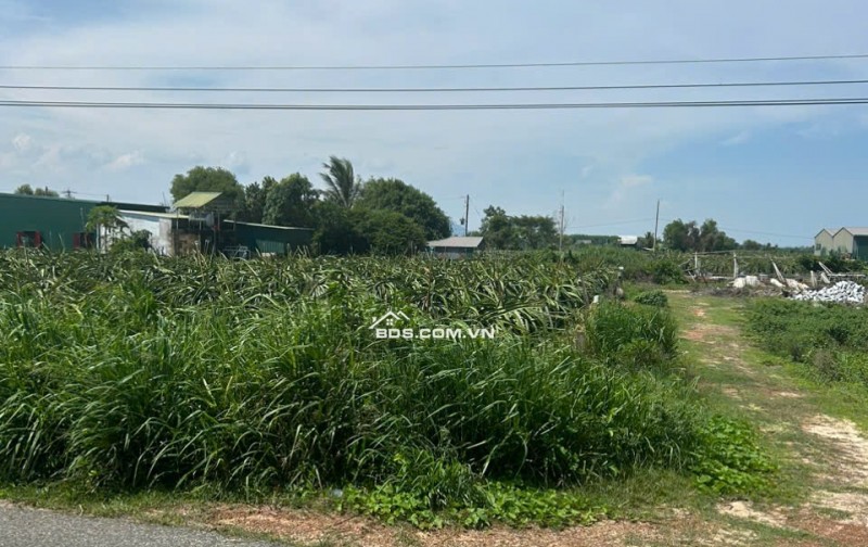 Đất ngợp đường chạy thắng ra biển đường Lê Quang Định xã Tân Bình Thị xã Lagi