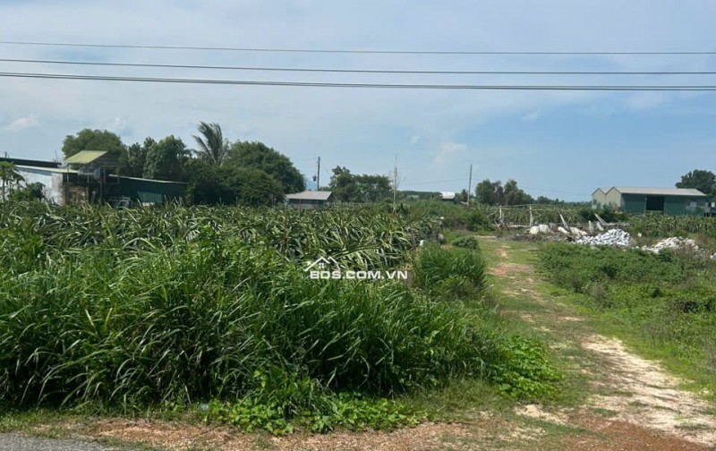Đất ngợp đường chạy thắng ra biển đường Lê Quang Định xã Tân Bình Thị xã Lagi