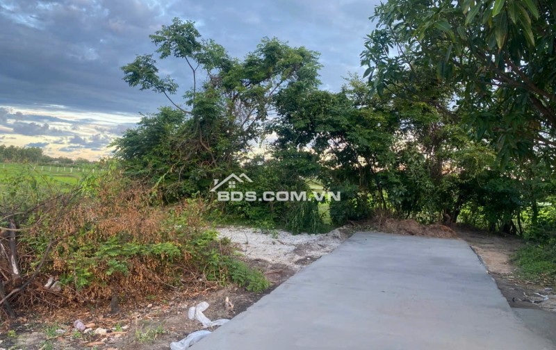 Bán đất 1 sẹc Đinh Bộ Lĩnh xã Tân Phước thị xã Lagi phủ hồng toàn bộ lên thổ cư được ngay