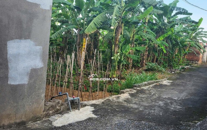  Bất Ngờ Với Lô Đất 120m² – Gần KCN, Cách Trục Chính Chỉ 20m – Giá Chỉ Vài Trăm Triệu!