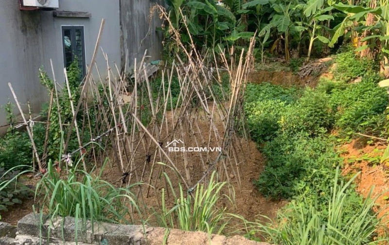  Bất Ngờ Với Lô Đất 120m² – Gần KCN, Cách Trục Chính Chỉ 20m – Giá Chỉ Vài Trăm Triệu!