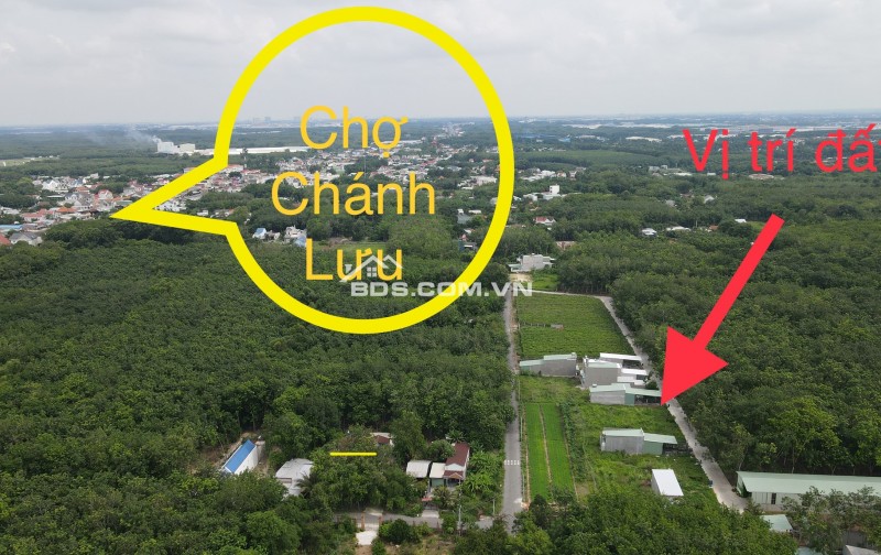 Đất Chánh Phú Hoà, Bến Cát 10 x 24m 2 tỷ 40 triệu, 5 x 24m 1 tỷ 30 triệu