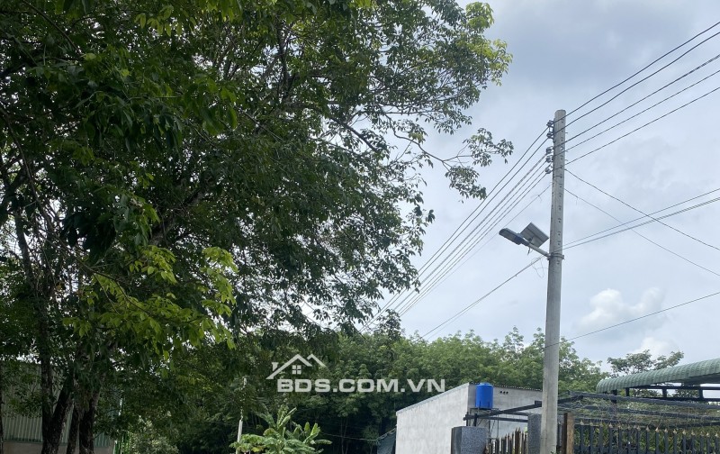 Đất Chánh Phú Hoà, Bến Cát 10 x 24m 2 tỷ 40 triệu, 5 x 24m 1 tỷ 30 triệu