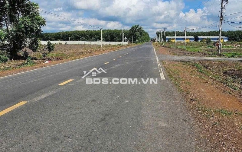 Bán đất nền sổ riêng 153m - Mặt đường nhựa DH504 - gần KCN VSIP4,Phú Giáo - Bình Dương - giá 580tr