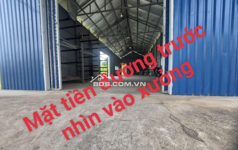 nhà xưởng mới + đất trồng cây xung quanh