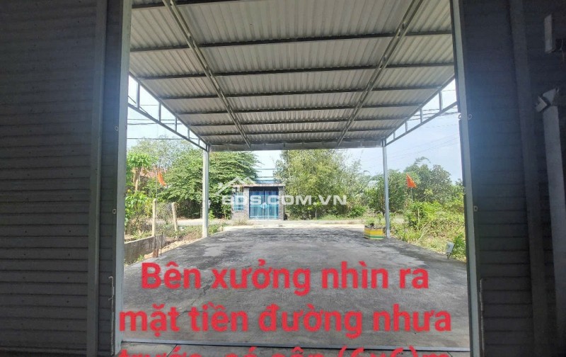 nhà xưởng mới + đất trồng cây xung quanh