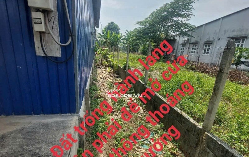 nhà xưởng mới + đất trồng cây xung quanh