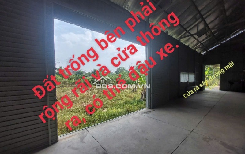 nhà xưởng mới + đất trồng cây xung quanh