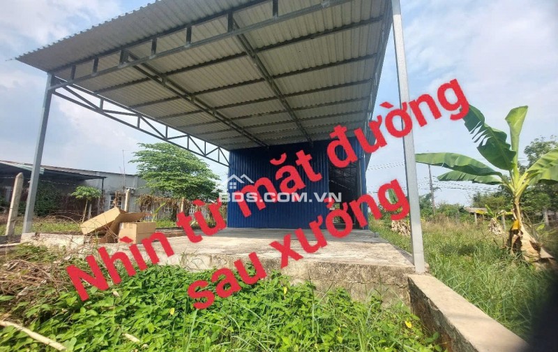 nhà xưởng mới + đất trồng cây xung quanh