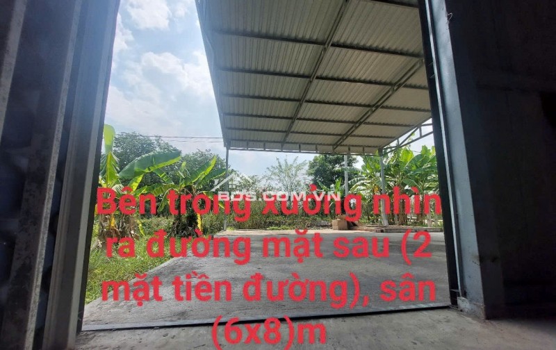 nhà xưởng mới + đất trồng cây xung quanh