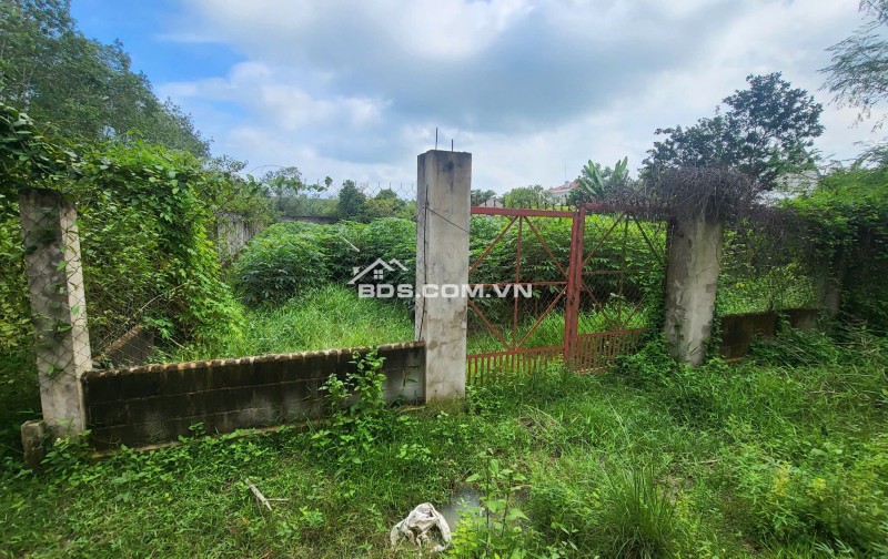 Bán lô đất 1000m2 đường Đỗ Đăng Tuyển, ngay chợ lô 6. 3,3 tỷ