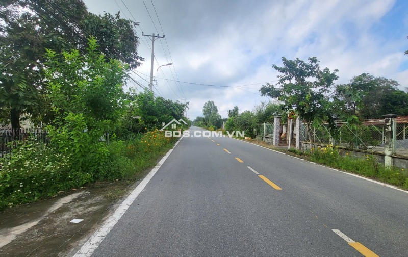 Bán lô đất 1000m2 đường Đỗ Đăng Tuyển, ngay chợ lô 6. 3,3 tỷ