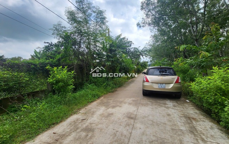 Bán lô đất 1000m2 đường Đỗ Đăng Tuyển, ngay chợ lô 6. 3,3 tỷ
