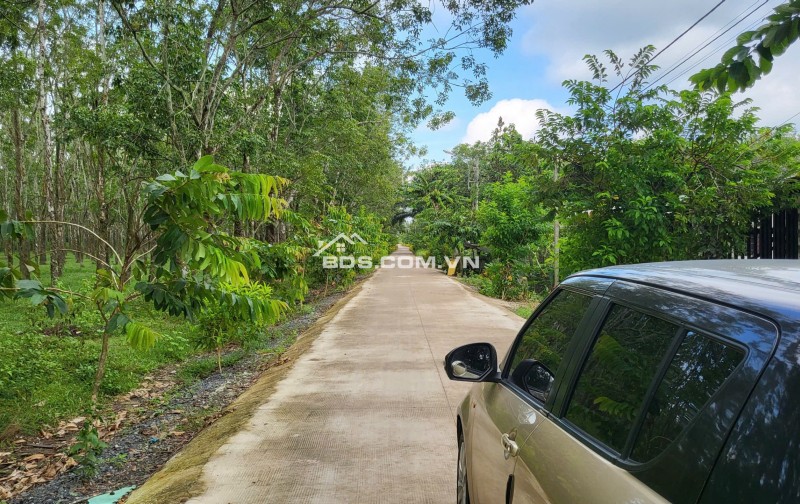 Bán lô đất 1000m2 đường Đỗ Đăng Tuyển, ngay chợ lô 6. 3,3 tỷ