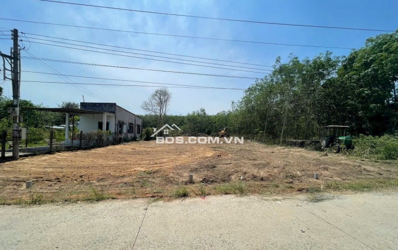 ĐỢT NÀY TÔI CẦN BÁN GẤP 2100M2 ĐẤT S HỒNG NGAY CHỢ KCN QL14 GIÁ 150 TRIỆU